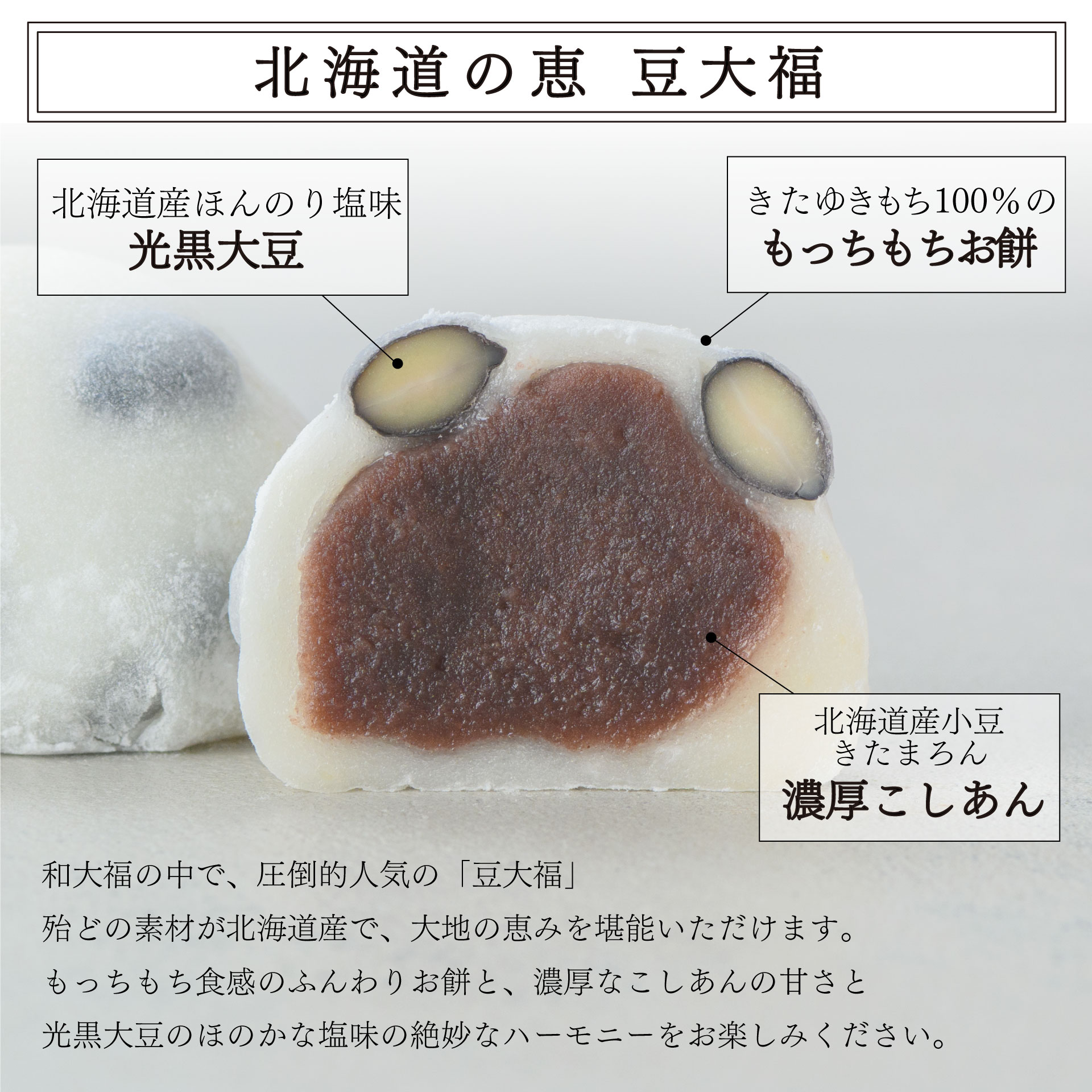 えにかいたもち / えにかいたもち特選6個セット